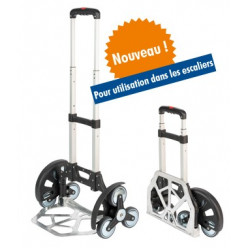 Chariot de transport capacité 60 kg